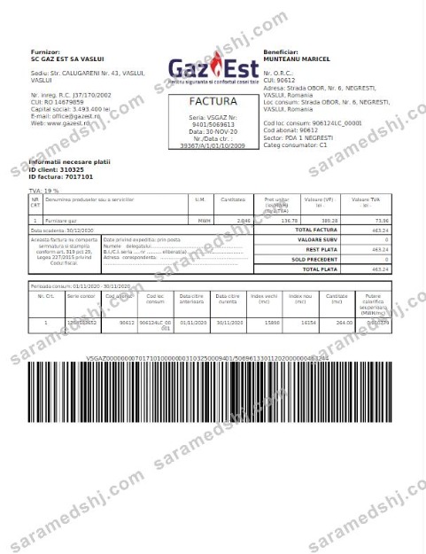 ROMANIA GAZ EST utility bill Word and PDF template